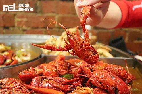 微報(bào)福利 墨爾本這家龍蝦店太拽啦 反手就給我來(lái)了一個(gè)龍蝦屆的 俄羅斯輪盤(pán)