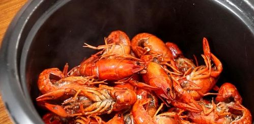 教你做麻辣小龍蝦,不需要太多配料,一包火鍋底料就搞定,味道好